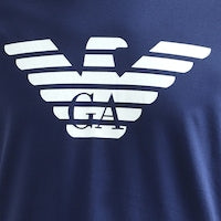 Eagle Men Blue Printed Round T-Shirts
